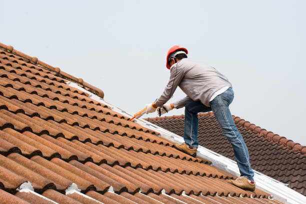 Best Asphalt Shingle Roofing  in Grace, ID